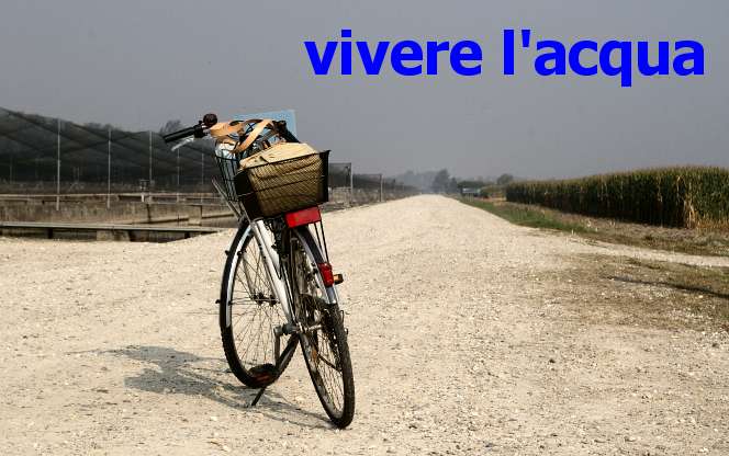 vivele l'acqua