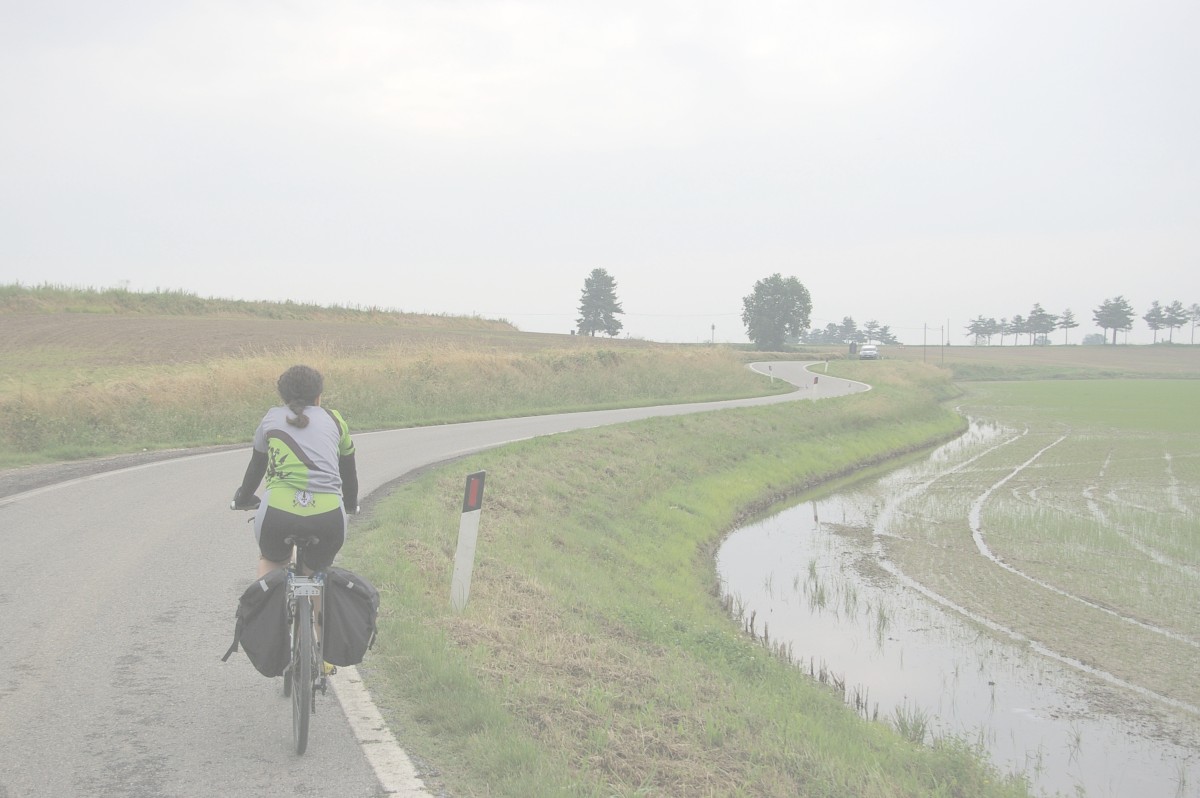 con la bici sulle strade delle risaie